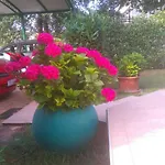 Bauk דירה פורץ