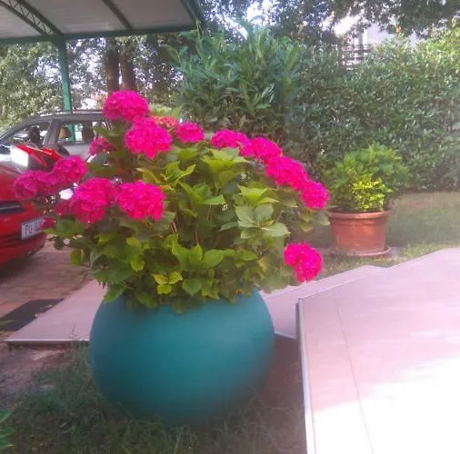 Bauk Apartman Poreč