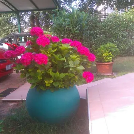 Bauk Apartmán Poreč